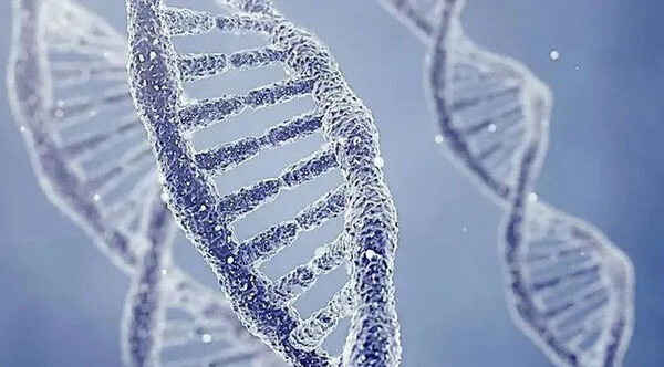 Sự thật đáng sợ về cận huyết: Lời nguyền của gene, tuyến phòng thủ cuối cùng của tự nhiên!