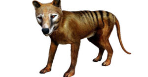 Có nên hồi sinh động vật đã tuyệt chủng?