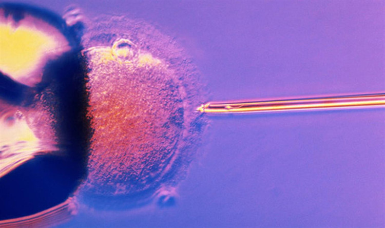 Thụ tinh trong ống nghiệm