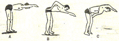 Bơi sải đúng cách.