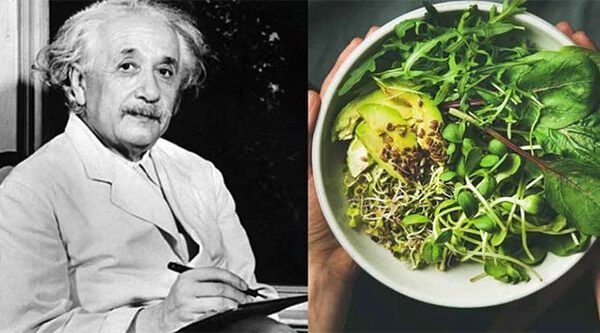 Bữa ăn tiêu chuẩn của Albert Einstein có gì đặc biệt?
