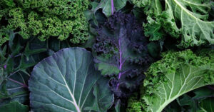 Chuyên gia sốc vì phát hiện hóa chất cực độc trong cải xoăn