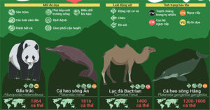 32 loài động vật sắp tuyệt chủng, 9 trong số đó chỉ còn dưới 100 cá thể