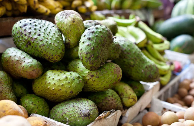 mang-cau Quả mãng cầu