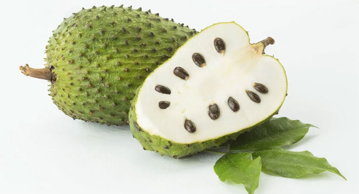 qua-mang-cau-1 Mãng cầu có tác dụng chống đái tháo đường và hạ natri máu.