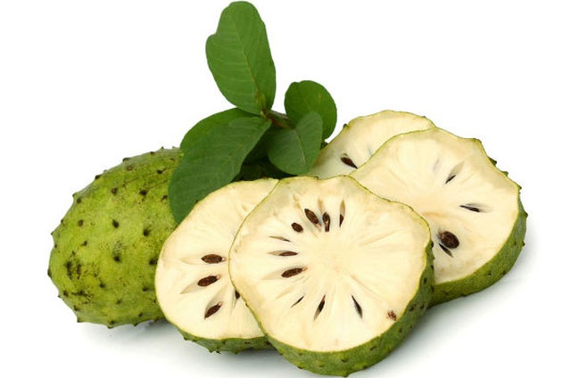 qua-mang-cau Mãng cầu là loại quả lớn, hình trái tim và màu xanh lục với đường kính từ 15 đến 20cm.