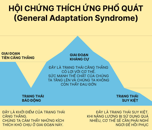 hoi-chung-thinh-ung-pho-quat Hội chứng thích ứng phổ quát