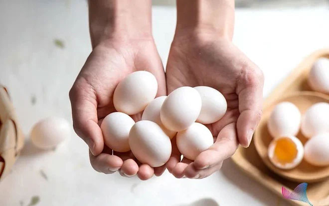 trung-2 Trên thực tế, giá cả của các loại trứng không liên quan gì đến giá trị dinh dưỡng