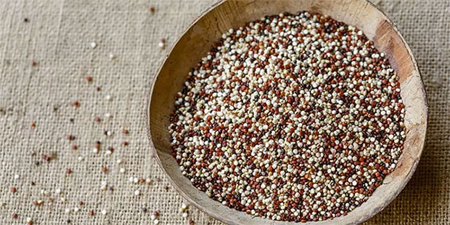 hat-quinoa-2 Quinoa là nguồn dinh dưỡng tuyệt vời, đặc biệt cho người ăn kiêng.