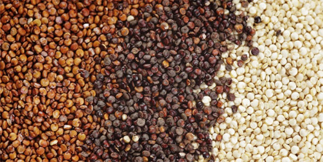 hat-quinoa Có hơn 100 loại hạt quinoa trên thế giới, nhưng phổ biến nhất là hạt quinoa đỏ, đen và trắng.