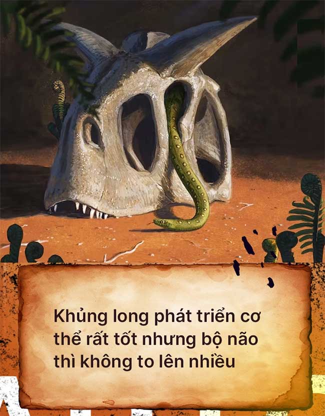 cac-loai-khung-long-4 Khủng long phát triển cơ thể rất tốt nhưng bộ não thì không to lên nhiều.