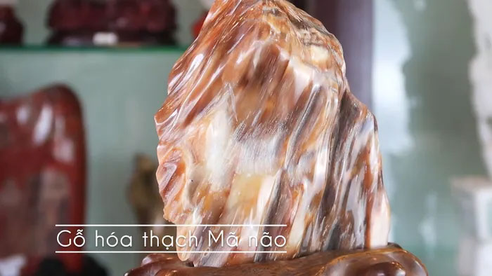 Gỗ hóa ngọc Mã não